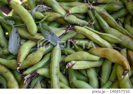 Fresh green beans harvested from a vibrant farm ready for market sale in sunny afternoon light Fresh green beans harvested from a vibrant farm ready for market sale in sunny afternoon light 140857550