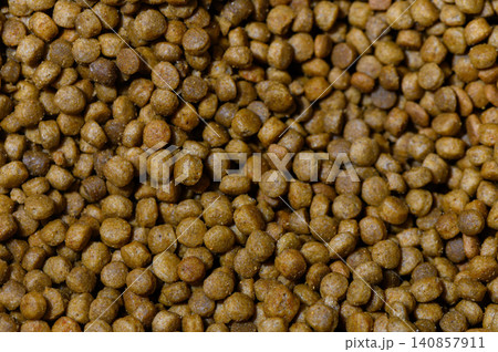 Pet food kibbles scattered on a surface ready for feeding time at a cozy home 140857911
