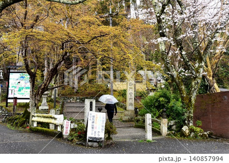 京都市山科区 毘沙門堂の極楽橋と満開桜と新緑 京都市山科区 毘沙門堂の極楽橋と満開桜と新緑 140857994