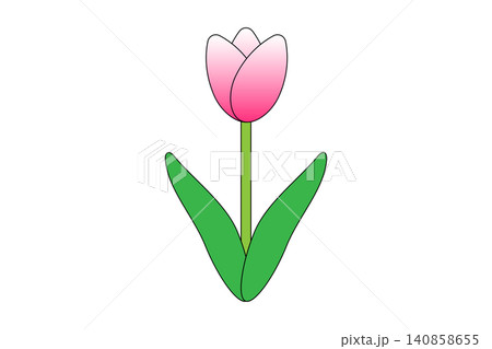 ピンク色の花を咲かせたチューリップのイラスト ピンク色の花を咲かせたチューリップのイラスト 140858655