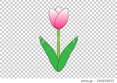 ピンク色の花を咲かせたチューリップのイラスト ピンク色の花を咲かせたチューリップのイラスト 140858655