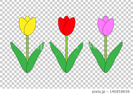 Tulips in full bloom with colorful flowers Tulips in full bloom with colorful flowers 140858656
