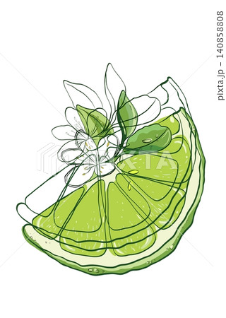 Decorative Lime Slice with Flower and Overlapping Line Art Decorative Lime Slice with Flower and Overlapping Line Art 140858808