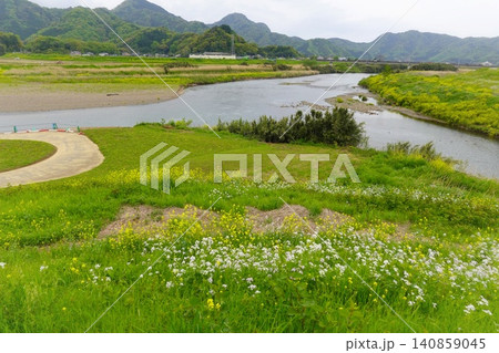 狩野川と大場川の合流地点　新緑と花が咲くのどかな風景　伊豆　函南町 140859045