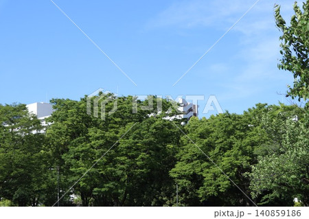 葛飾区 新小岩公園 葛飾区 新小岩公園 140859186