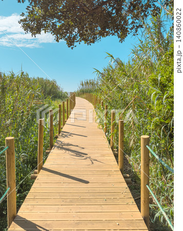 Scenic view of a light wooden walkway winding through lush green tall grass and reeds under a bright blue sky at Sao Felix da Marinha beach in Portugal Scenic view of a light wooden walkway winding through lush green tall grass and reeds under a bright blue sky at Sao Felix da Marinha beach in Portugal 140860022