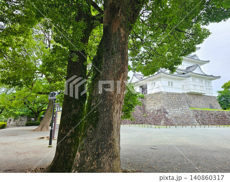 小田原城 小田原城 140860317