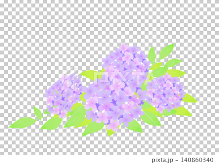 紫の紫陽花のイラスト 紫の紫陽花のイラスト 140860340
