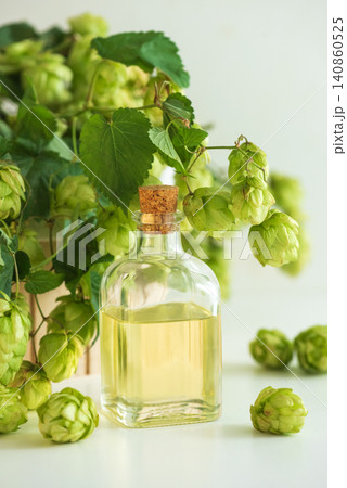 Hop cones oil preparing herbal medicine or beer Hop cones oil preparing herbal medicine or beer 140860525