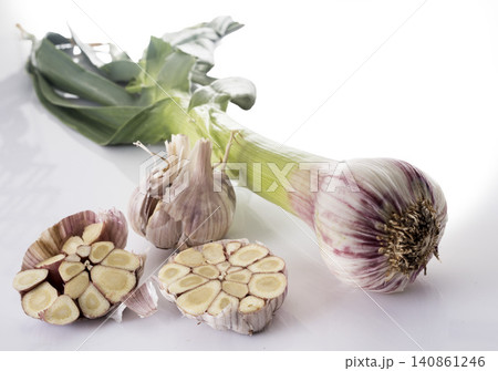 fresh garlic in studio 140861246