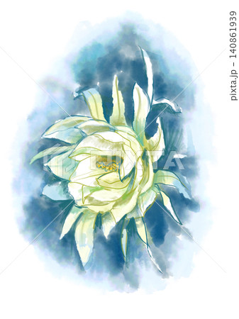咲き誇るゲッカビジンの花の手描きの水彩イラスト 咲き誇るゲッカビジンの花の手描きの水彩イラスト 140861939