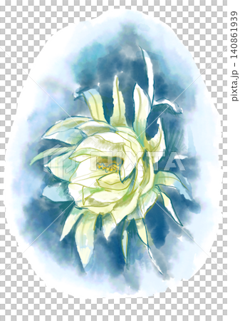 咲き誇るゲッカビジンの花の手描きの水彩イラスト 咲き誇るゲッカビジンの花の手描きの水彩イラスト 140861939