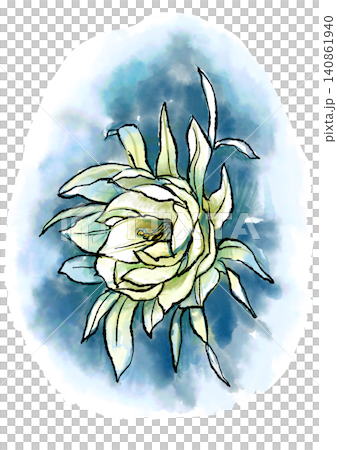 手繪線條藝術和水彩插圖,描繪了盛開的曇花。 手繪線條藝術和水彩插圖,描繪了盛開的曇花。 140861940