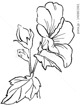 咲き誇るムクゲの花の手描きの線画イラスト 咲き誇るムクゲの花の手描きの線画イラスト 140861981