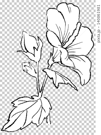 咲き誇るムクゲの花の手描きの線画イラスト 咲き誇るムクゲの花の手描きの線画イラスト 140861981