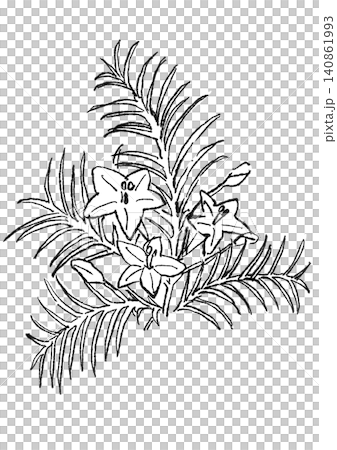 A hand-drawn line art illustration of blooming morning glory flowers. A hand-drawn line art illustration of blooming morning glory flowers. 140861993