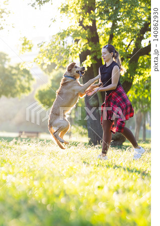 Woman plays with dog in sunny park during afternoon 140862930