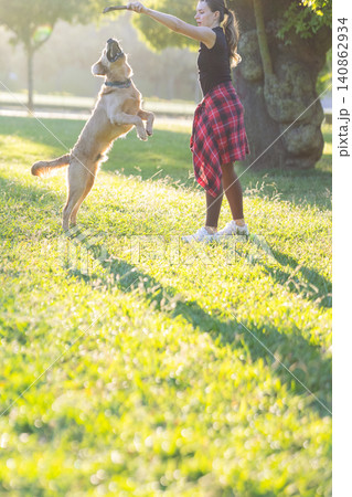 Young girl plays with dog in park during sunny afternoon in the grass while they enjoy their time together 140862934