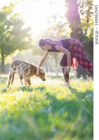 Person plays with dog in park during sunny afternoon in summer Person plays with dog in park during sunny afternoon in summer 140862945