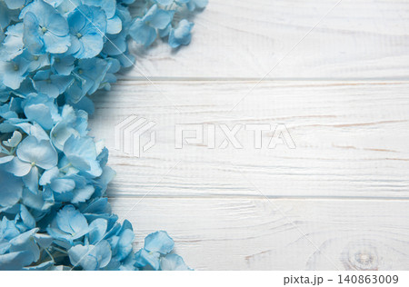 Blue hydrangea flowers blooming on white wood background Blue hydrangea flowers blooming on white wood background 140863009