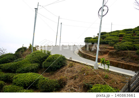 Scenic winding road passing through lush green tea gardens in the mountains at Darjeeling 140863661