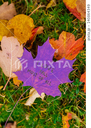 Red Colorful Painted Autumn Leaves With Text I LOVE FALL MOST OF ALL In Forest 140864349