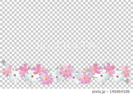 手描きの華やかなコスモスの花のラインイラスト素材 手描きの華やかなコスモスの花のラインイラスト素材 140864386