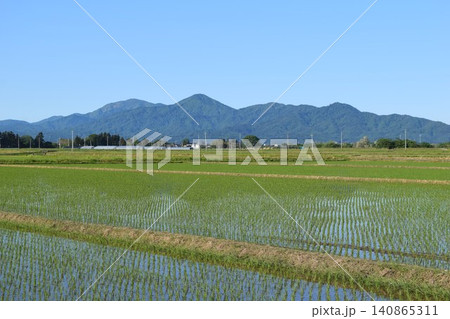 田園風景 日本有数の米どころ 山形県庄内 田園風景 日本有数の米どころ 山形県庄内 140865311