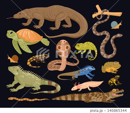 Reptiles and amphibians collection. Crocodile, lizard, turtle, snake, salamander, frog and gecko flat vector illustration set. Wildlife animal icons isolated on white 140865344