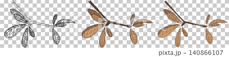 一組描繪二疊紀舌羊齒屬植物枝梢的風格化插圖。 140866107