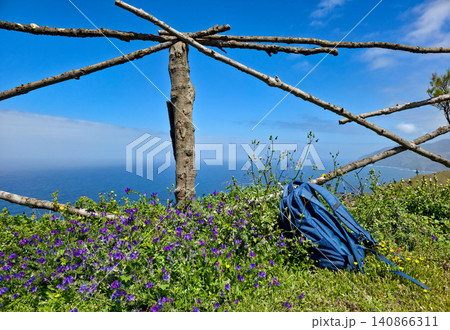 Blue backpack resting on vibrant purple flowers near a wooden fence overlooking a scenic coastal view under a clear blue sky. Northern viewpoint of La Palma Island Cruz de La Centinela. High quality Blue backpack resting on vibrant purple flowers near a wooden fence overlooking a scenic coastal view under a clear blue sky. Northern viewpoint of La Palma Island Cruz de La Centinela. High quality 140866311