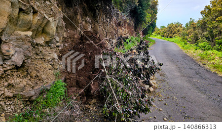 Rock and branch falls onto the roadway in mountainous areas. Danger of landslides on the roads. High quality photo 140866313