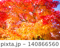 鮮やかに染まる秋の紅葉 140866560
