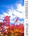 青空に映える紅葉とススキ 140866561