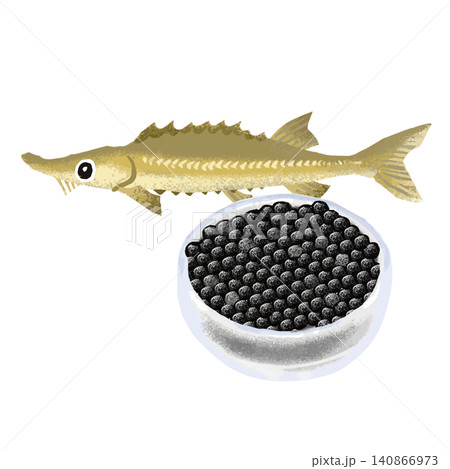 チョウザメとキャビアのイラスト チョウザメとキャビアのイラスト 140866973