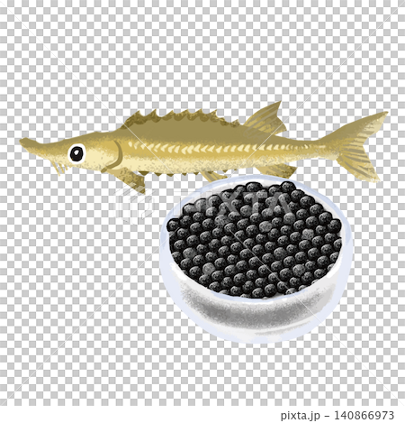 チョウザメとキャビアのイラスト チョウザメとキャビアのイラスト 140866973