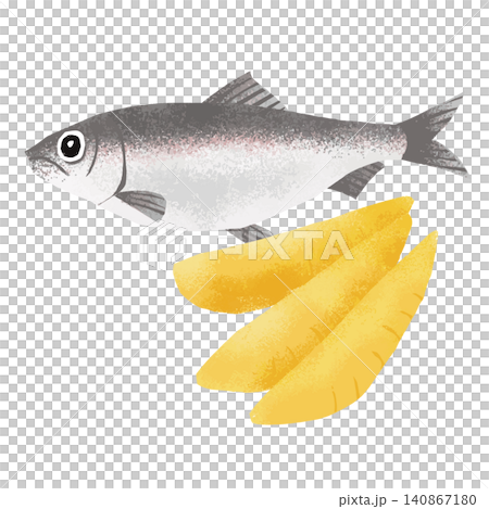 ニシンとカズノコのイラスト ニシンとカズノコのイラスト 140867180