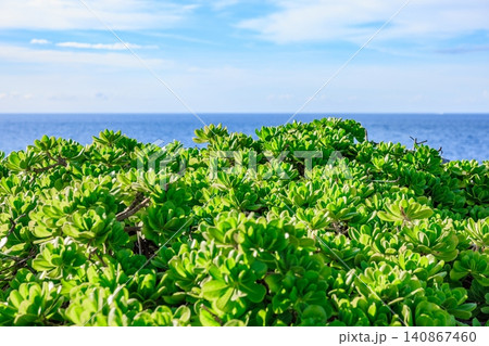 宮古島の海岸に広がる緑豊かな植物と輝く青い海 宮古島の海岸に広がる緑豊かな植物と輝く青い海 140867460
