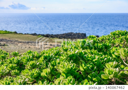 宮古島の海岸に広がる緑豊かな植物と輝く青い海 140867462