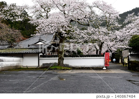 京都市山科区 毘沙門堂境内の満開桜 京都市山科区 毘沙門堂境内の満開桜 140867484
