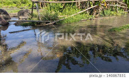 A horizontal high angle perspective captures clear freshwater flowing gently over a shallow sandy bed bordered by a rustic bamboo fence. Vibrant green vegetation reflects beautifully on the rippling A horizontal high angle perspective captures clear freshwater flowing gently over a shallow sandy bed bordered by a rustic bamboo fence. Vibrant green vegetation reflects beautifully on the rippling 140867831