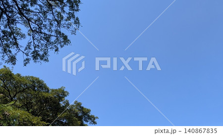 A horizontal low angle looking up perspective captures a vast clear blue sky framed by lush green tree canopies, leafy branches in the corner. Bright afternoon sunlight illuminates the crisp A horizontal low angle looking up perspective captures a vast clear blue sky framed by lush green tree canopies, leafy branches in the corner. Bright afternoon sunlight illuminates the crisp 140867835