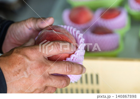 収穫された桃 140867898
