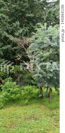 森のカフェ 小鳥の巣箱があるお庭 森のカフェ 小鳥の巣箱があるお庭 140868186