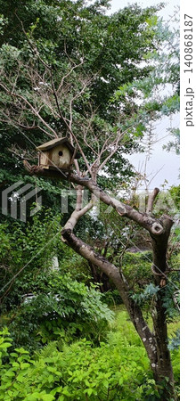 森のカフェ 小鳥の巣箱があるお庭 森のカフェ 小鳥の巣箱があるお庭 140868187
