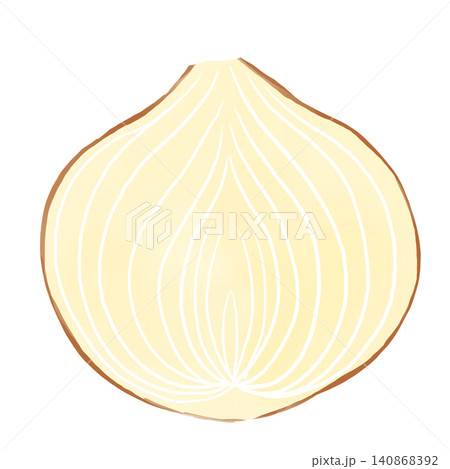 玉ねぎの断面の水彩風素材 縦半分にカットした手描き野菜のイラスト 玉ねぎの断面の水彩風素材 縦半分にカットした手描き野菜のイラスト 140868392