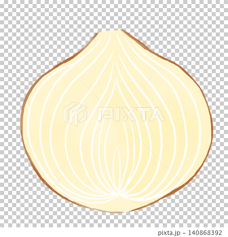 玉ねぎの断面の水彩風素材 縦半分にカットした手描き野菜のイラスト 玉ねぎの断面の水彩風素材 縦半分にカットした手描き野菜のイラスト 140868392