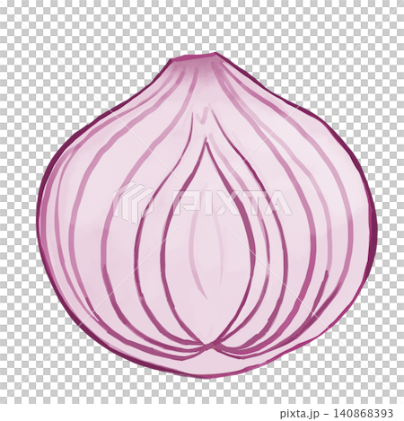 Watercolor-style illustration of a cross-section of a purple onion; a hand-drawn vegetable cut in half lengthwise. Watercolor-style illustration of a cross-section of a purple onion; a hand-drawn vegetable cut in half lengthwise. 140868393
