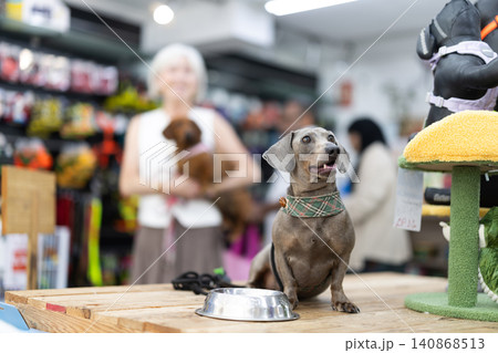 Dog and bowl in zoo store, pet eating 140868513