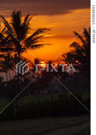 Beautiful tropical sunset landscape with silhouettes of coconut palm trees against golden sky. 140868681